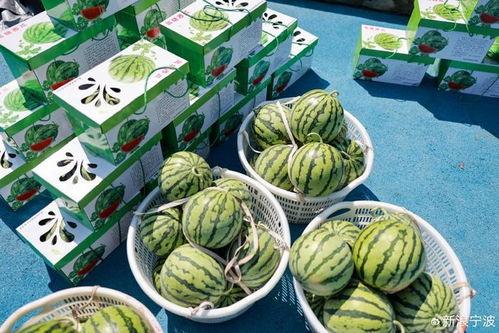 康县网红吃瓜店子在哪,探寻隐藏在山水间的美食秘境